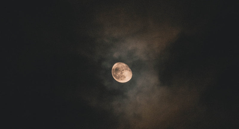 The Science of Sleep